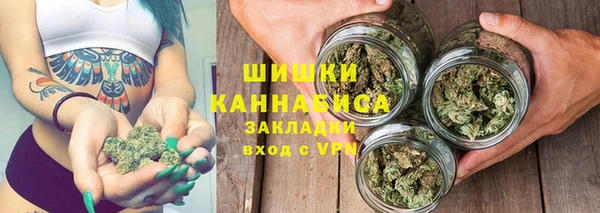 ГАЛЛЮЦИНОГЕННЫЕ ГРИБЫ Костерёво