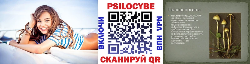 Псилоцибиновые грибы Psilocybine cubensis  мега ТОР  darknet Telegram  Ковдор 